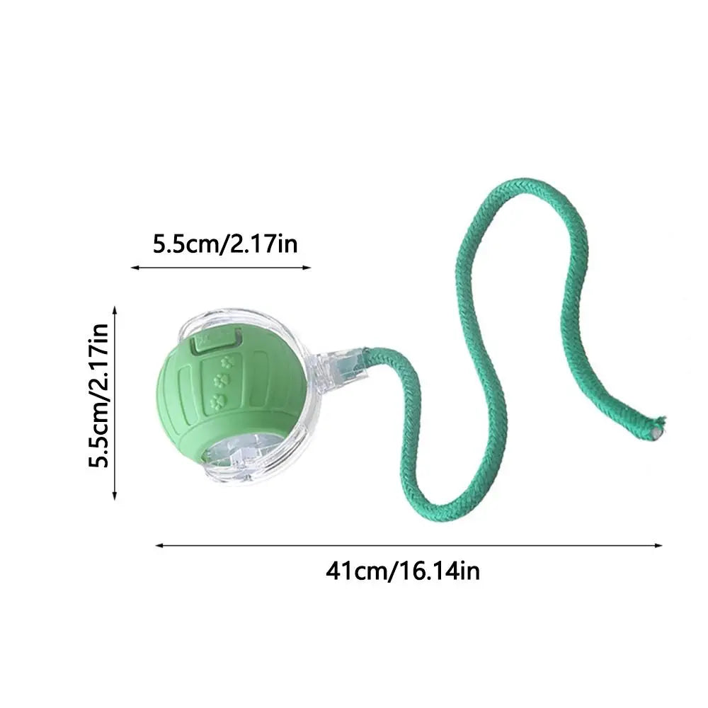 MEHCERH™ Cat Ball Toy